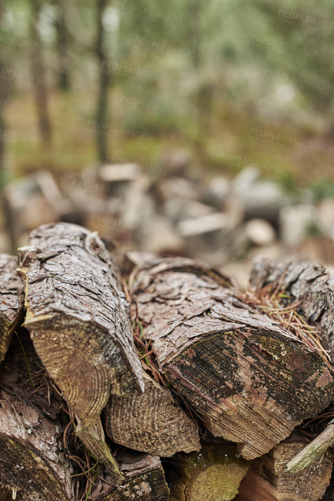 Buy stock photo Wood, pile and lumber outdoor for forestry, sustainable business or ecology for logging awareness. Timber, logs or firewood for deforestation, habitat destruction or forest industry with hardwood