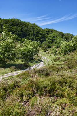 Buy stock photo Travel, blue sky or trees in nature with path, deserted area or dirt road with outdoor scenery. Tourism, vacant or trail with greenery, natural landscape or gravel walkway in rural environment.