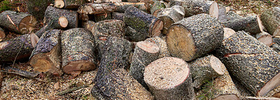 Buy stock photo Wood, logs and lumber in nature for forestry, sustainable business or ecology for logging awareness. Timber, banner or firewood for deforestation, habitat destruction or forest industry with hardwood