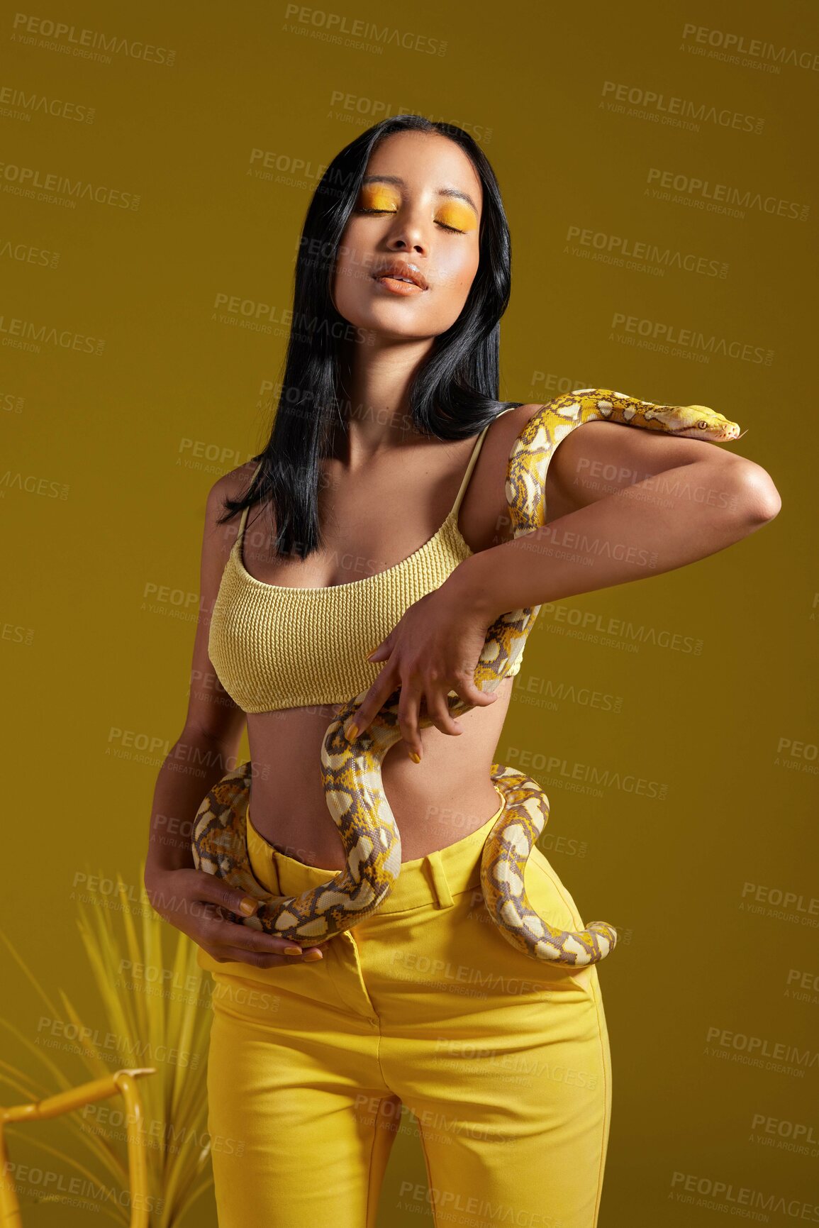 Buy stock photo Woman, snake or python with fashion in studio for makeup or beauty cosmetics on a yellow background. Female person, aesthetic or eye shadow with reptile, animal or serpent for culture or style