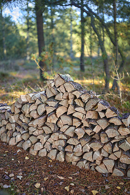 Buy stock photo Nature, trees and wood outdoor in forest for agriculture, ecosystem or sustainability. Countryside, deforestation and pile of timber or lumber texture for eco friendly or organic environment.