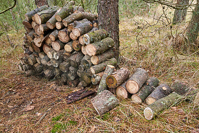 Buy stock photo Wood, stack and timber in nature for forestry, sustainable business or ecology for logging awareness. Lumber, logs or firewood for deforestation, habitat destruction or forest industry with hardwood