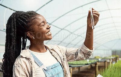 Buy stock photo Black woman, scientist and test tube in greenhouse with plant sample, testing crops and agriculture. Smile, female person or farming for quality control, botanical research and cultivation experiment