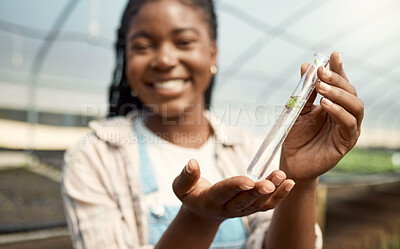 Buy stock photo Hands, black woman and scientist with test tube with plant sample, testing crops and agriculture. Smile, person and farming for quality control, botany research and cultivation progress in greenhouse