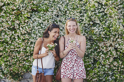 Buy stock photo Outdoor, laughing and friends with smile for travel, eco tourism or sightseeing for spring vacation. Botanical park, holiday and happy women by flower wall with humor, space or nature and growth