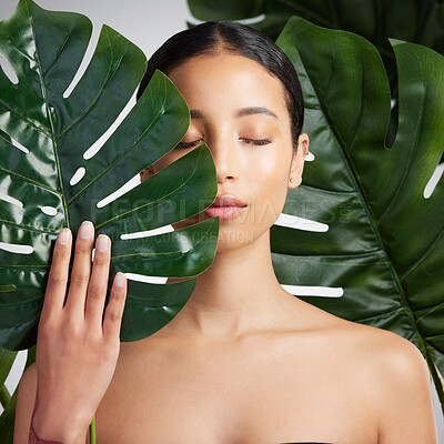 Buy stock photo Woman, leaves and sustainable skincare in studio with wellness, self care or organic treatment. Person, monstera plant and glow with natural cosmetics, dermatology or beauty on white background.