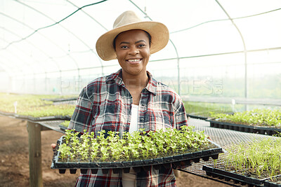 Buy stock photo Sustainable, tray and portrait of black woman with plants in greenhouse for agriculture growth. Eco friendly, smile and African female person with leaves for horticulture cultivation in nursery.