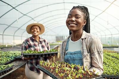 Buy stock photo Plants, portrait and happy women in greenhouse for sustainable, vegetables or produce business. Crops, tray and black people or farmer smile with growth for food production, farming or agriculture