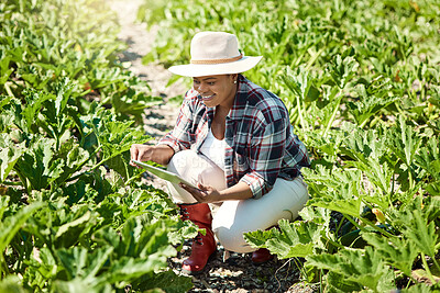 Buy stock photo Review, smile or farmer in garden with tablet, crop checklist or soil monitor in outdoor assessment. Happy, digital or black woman with tech, planting schedule or quality control in field operations.