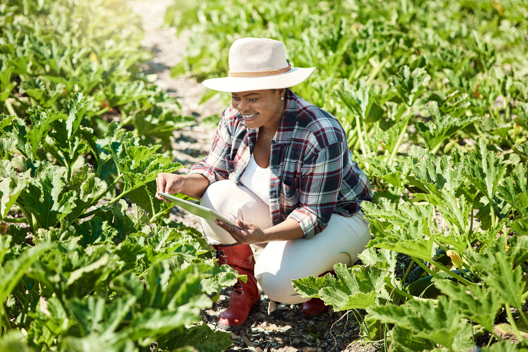 Buy stock photo Review, smile or farmer in garden with tablet, crop checklist or soil monitor in outdoor assessment. Happy, digital or black woman with tech, planting schedule or quality control in field operations.