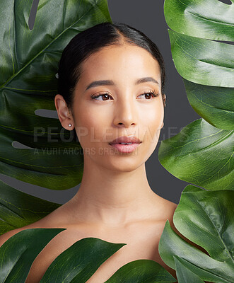 Buy stock photo Woman, leaves and organic skincare in studio with wellness, self care or thinking for sustainability. Person, monstera plant and vision with natural cosmetics, dermatology and beauty gray background.