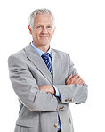 The confident smile of a seasoned executive