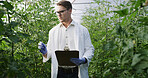 Scientist, man and clipboard in greenhouse with plants, inspection and check growth for agriculture. Person, environmental science and agro study in conservatory with checklist, glasses and review.