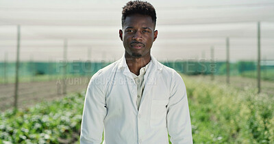 Buy stock photo Serious, scientist or black man with portrait on farm for agro business, production or agriculture. Person, agronomist or inspection with crops, resources or natural growth for conservation science