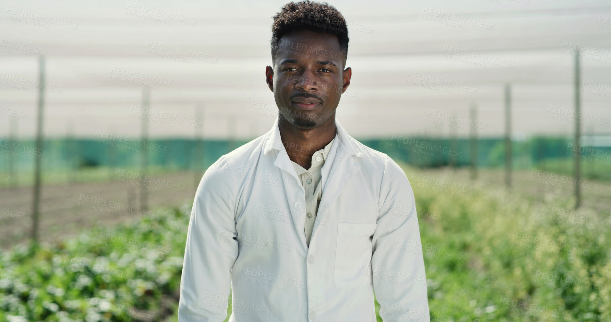 Buy stock photo Serious, scientist or black man with portrait on farm for agro business, production or agriculture. Person, agronomist or inspection with crops, resources or natural growth for conservation science