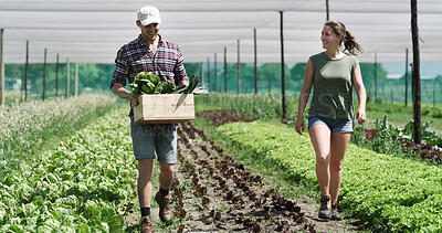 Buy stock photo Couple, farmer and vegetables for agriculture, walking or organic food production in crate. Plants, man and woman at farm with box for growth, talking and help at garden in countryside or harvest