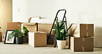 Moving, boxes and decor in home for real estate, property investment and rental residence for housing. Plants, empty and cardboard package for relocation process, mortgage and lease for new house