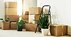 Moving, boxes and plants in home for real estate, property investment and rental residence for housing. Decor, empty and cardboard package for relocation process, mortgage and lease for new house