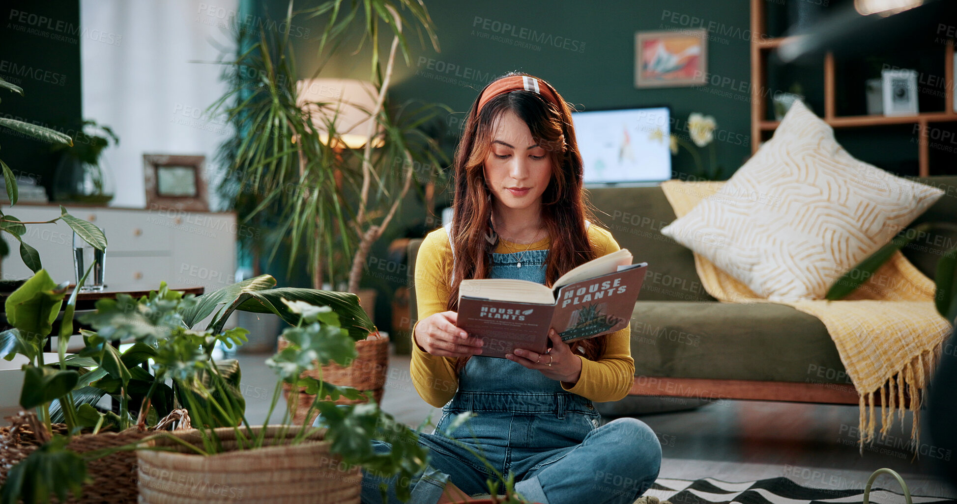Buy stock photo Horticulture, reading or woman in home with book, maintenance or growth tips in houseplant manual. Plants, review or person with handbook, care instructions or literature guideline in botanical hobby