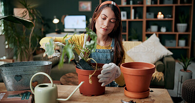 Buy stock photo Gardening, woman and tool with plant in home for repotting, soil transfer and healthy growth. Indoor gardener, person or shovel in houseplant for sustainable hobby, routine maintenance or development