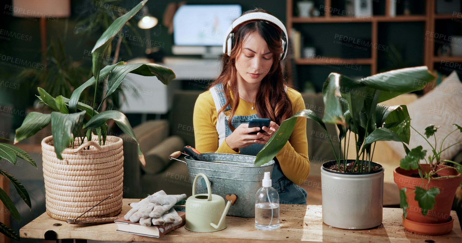 Buy stock photo Plants, headphones and woman with phone in home, gardening podcast and research and growth advice. Reading, botany blog and person with tech for horticulture audiobook, maintenance tips and eco forum