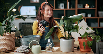 Buy stock photo Remote work, camera or woman in home with plant, greenery review or picture for gardening blog. Happy, check or content writer with houseplant, horticulture or growth photography in botanical article