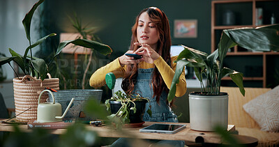 Buy stock photo Picture, plants or journalist in house with phone, greenery review or gardening blog in remote work. Digital, woman or freelancer with tech, horticulture or growth photography for botanical article.