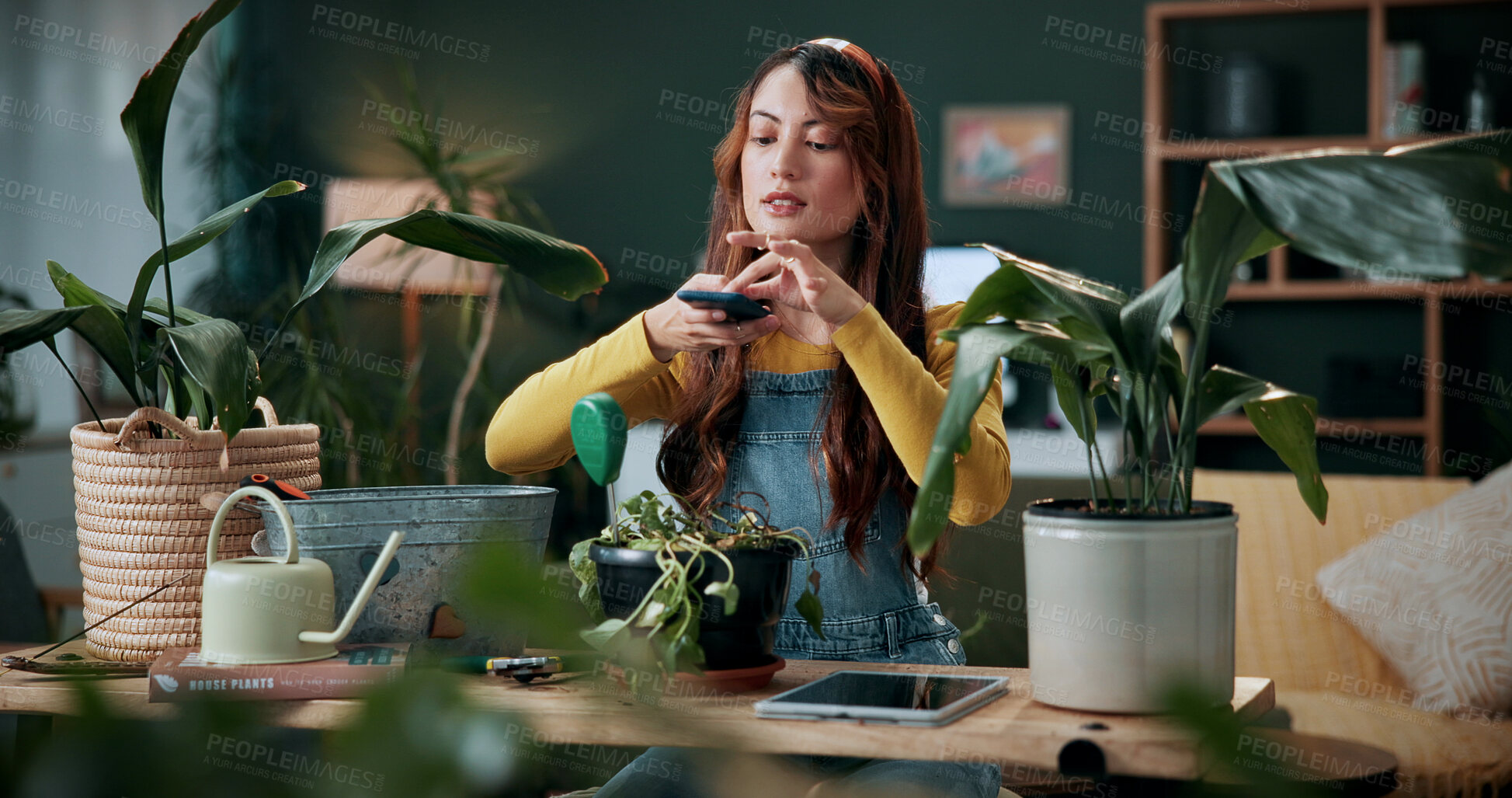 Buy stock photo Picture, plants or journalist in house with phone, greenery review or gardening blog in remote work. Digital, woman or freelancer with tech, horticulture or growth photography for botanical article.