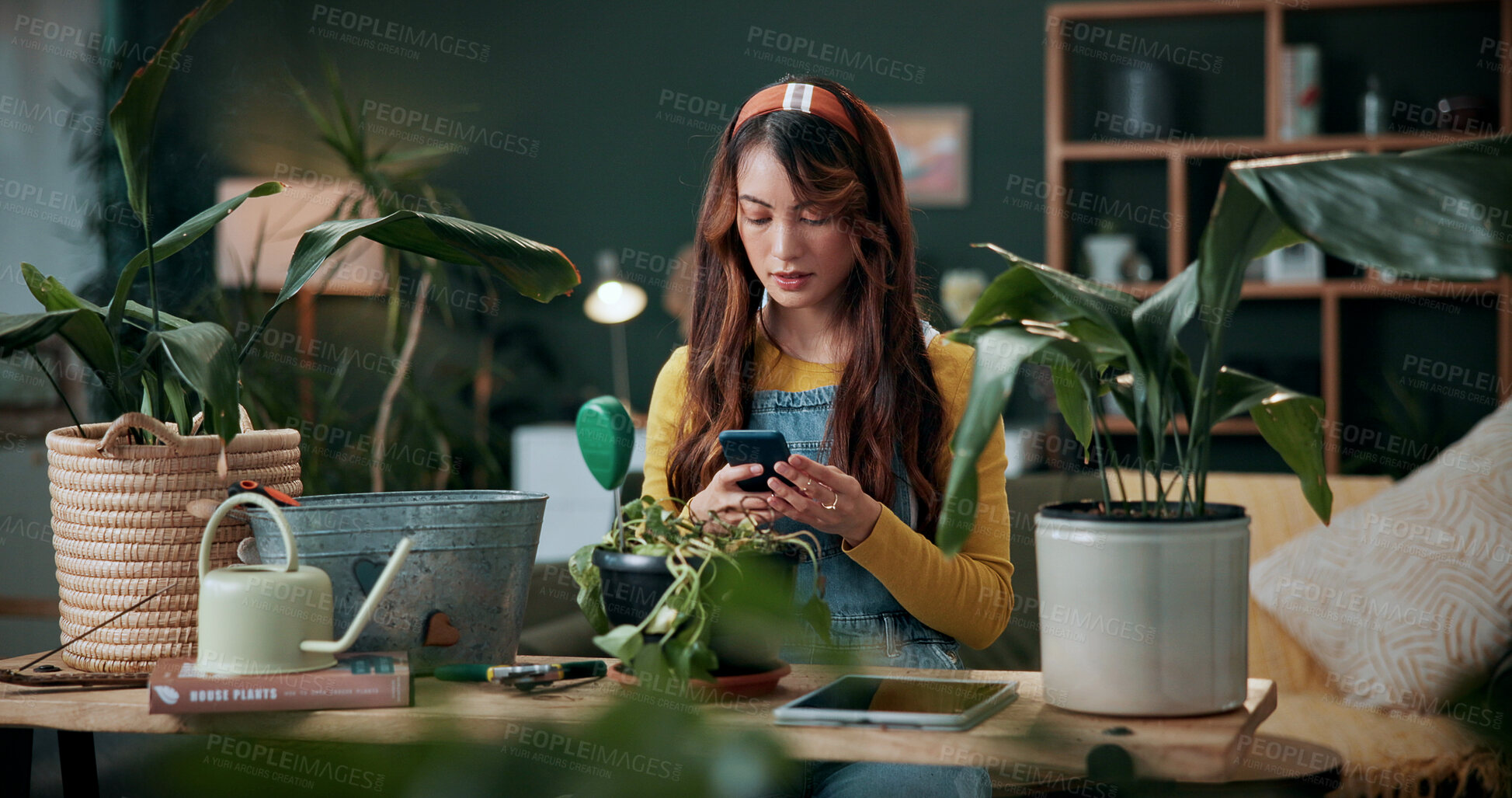 Buy stock photo Plants, reading or woman with mobile in home, gardening forum or internet search for conservation tips. Review, smile or florist with phone for horticulture blog, care instructions or revival advice