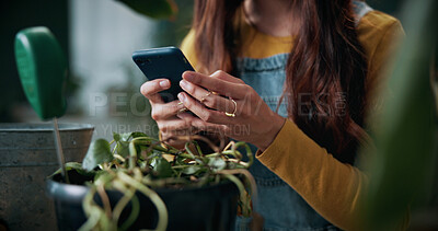 Buy stock photo Plant, hands and person with mobile in home, gardening forum or internet search for revival tips. Botany, research or florist with phone for horticulture blog, care instructions or restoration advice