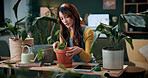 Gardening, florist or woman with plants in home, leaf inspection or fertilizer check for conservation. Sustainability, growth evaluation and person with flora for horticulture hobby, botany or lounge