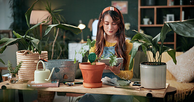 Buy stock photo Tablet, woman or pot plant in house for decoration, gardening or research for flora health manual. Fertilizer order, reading or florist with tech for pruning instructions, maintenance advice or tips