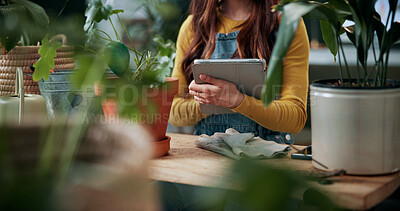 Buy stock photo Hands, indoor plants and tablet with woman in home living room for cultivation or gardening. Hobby, horticulture app and houseplant with gardener person in apartment for care, nurturing or planting