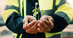 Botany, plant and hands of construction worker on site for sustainability, eco friendly or agro. Agriculture, man and civil engineer with green leaf in soil for spring, horticulture or hope outdoor.