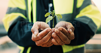 Buy stock photo Botany, plant and hands of construction worker on site for sustainability, eco friendly or agro. Offer, man and civil engineer with leaf in soil for growth with green building development outdoor.