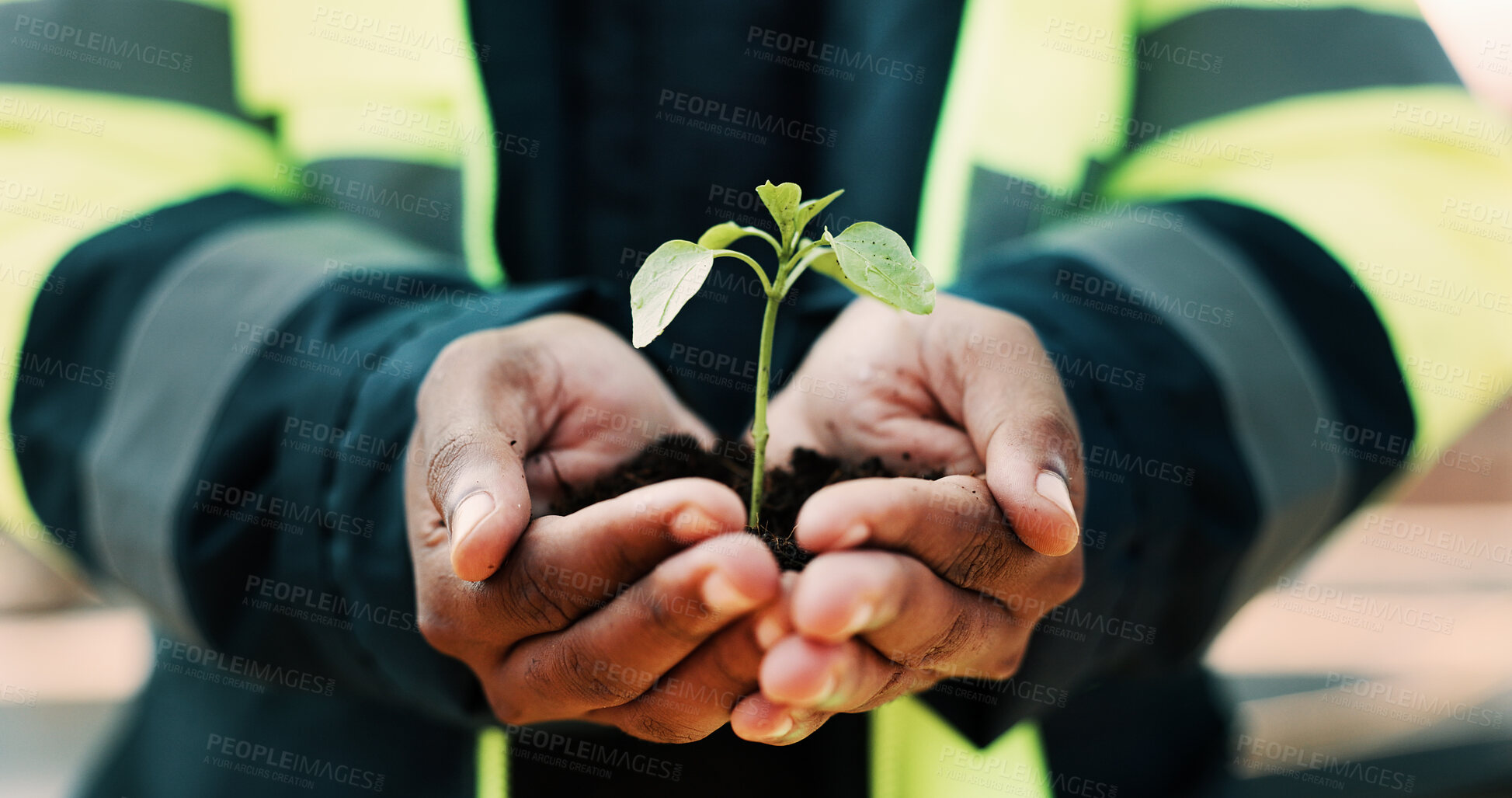 Buy stock photo Eco friendly, plant and hands of construction worker on site for sustainability, botany or agro. Agriculture, man and civil engineer with green leaf in soil for spring, horticulture or hope outdoor.