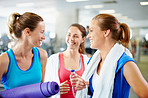 New friends at the gym