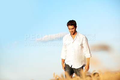 Buy stock photo Thinking, walking and man at wheat field on holiday with peace, calm and space for sightseeing. Reflection, outdoor and person in countryside for trip, travel and vacation adventure in summer