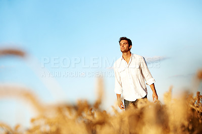 Buy stock photo Thinking, travel and man at wheat field on holiday with peace, calm and space for sightseeing. Reflection, farm and person in countryside for vision, outdoor and vacation adventure for agro tourism