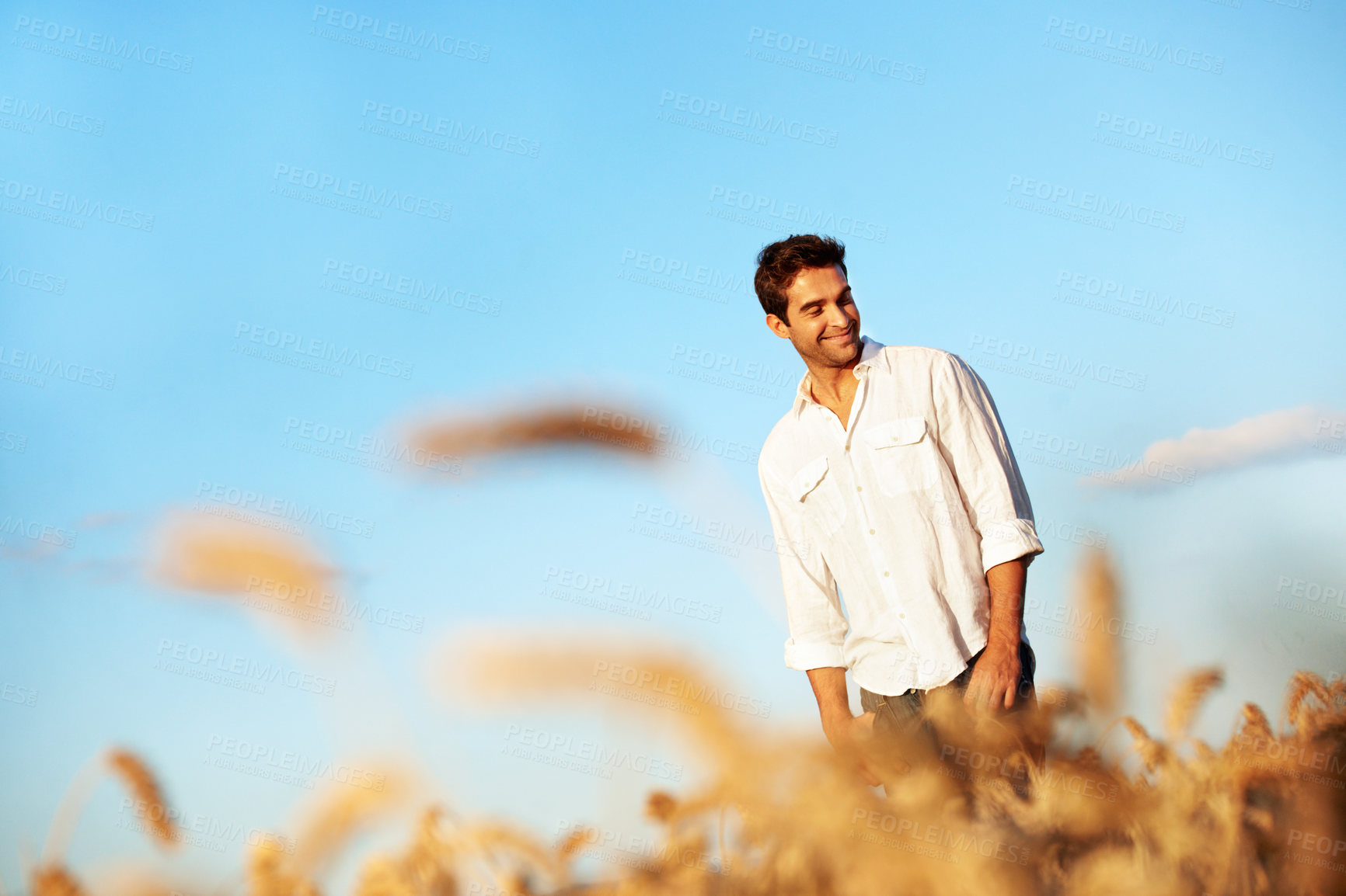 Buy stock photo Thinking, smile and man at wheat field on vacation with peace, calm and space for sightseeing. Reflection, farm and person in countryside for vision, travel and holiday adventure for agro tourism
