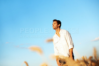 Buy stock photo Thinking, smile and man at wheat field on holiday with peace, calm and space for sightseeing. Reflection, happiness and person in countryside for view, travel and vacation adventure for agro tourism