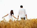 Love and sunshine
