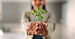 Hands, plant and sapling with growth at office with sustainable business, ESG or net zero goals. Person, leaves and soil for eco friendly company, accountability or call to action for climate change