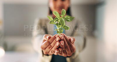 Buy stock photo Hands, plant and sapling with growth at office with sustainable business, ESG or net zero goals. Person, leaves and soil for eco friendly company, accountability or call to action for climate change