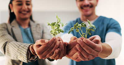 Buy stock photo Hands, nurse and team with plant in hospital for hope, compassion and care for medical healing. Palm, green leaves or nursing with people for responsibility, healthcare and collaboration for recovery