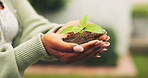 Growth, soil and hands with plant for sustainability, conservation and person with environment care. Green seedling, sprout and woman in nature for eco friendly support, protection and earth day