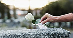 Hand, gravestone and rose in cemetery with funeral, remembrance and burial ceremony for final goodbye. Tombstone, flower and person in graveyard outdoor with memorial service, mourning and respect.