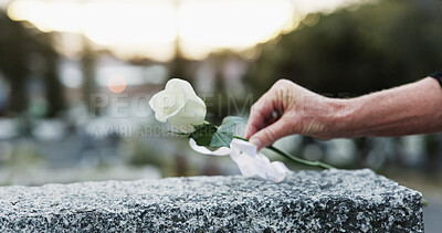 Buy stock photo Hand, gravestone and rose in cemetery with funeral, remembrance and burial ceremony for final goodbye. Tombstone, flower and person in graveyard outdoor with memorial service, mourning and respect.