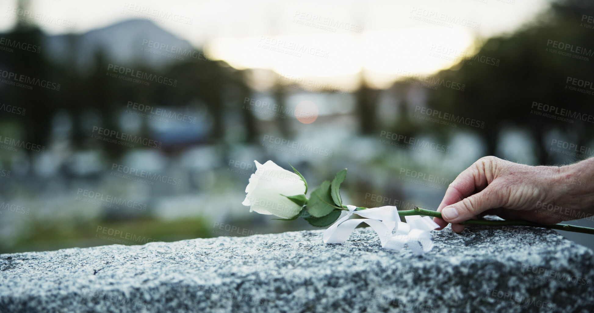 Buy stock photo Hand, tombstone and rose in graveyard with funeral, remembrance and burial ceremony for final goodbye. Space, flower and person in cemetery outdoor with gravestone, memorial service and mourning.