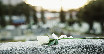 Buy stock photo Rose, tombstone and funeral in cemetery with remembrance, space and burial ceremony for final goodbye. Bokeh, flower and memorial service in graveyard outdoor with gravestone, tribute and tradition.